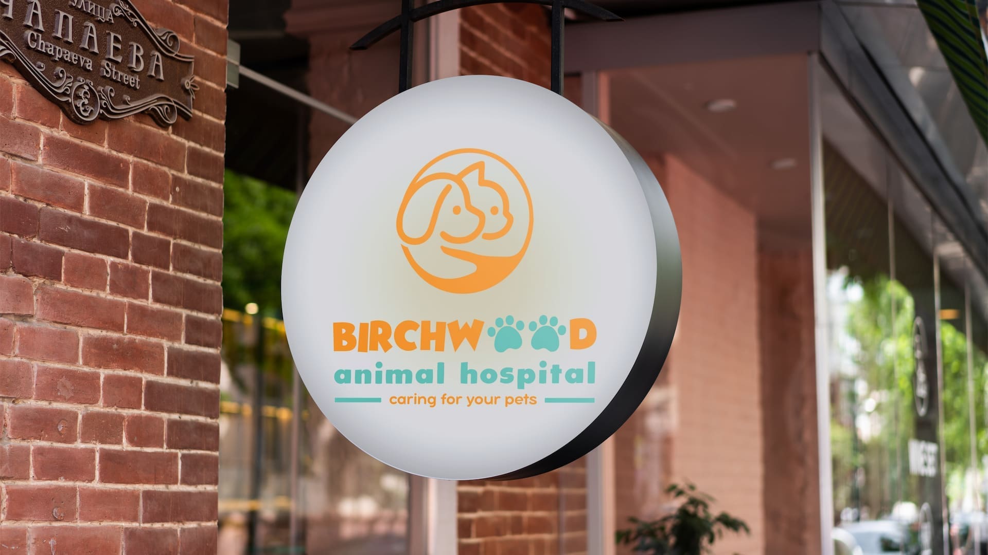 Optiimus healthcare medical dental logo design